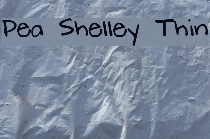 Pea Shelley Thin フォント examples