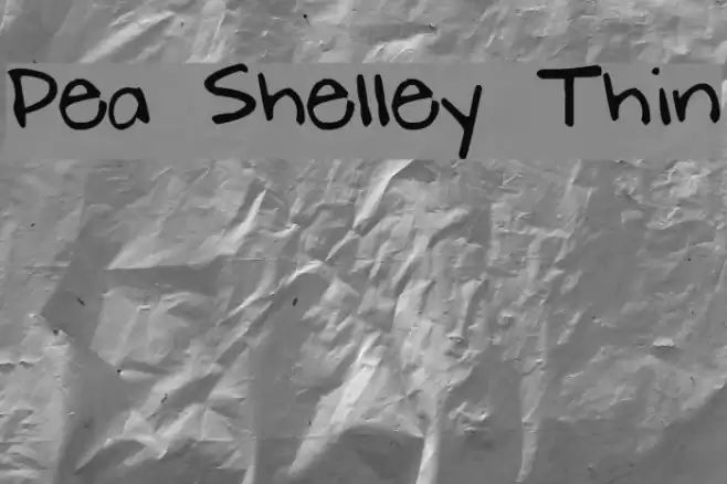 Pea Shelley Thin Font examples