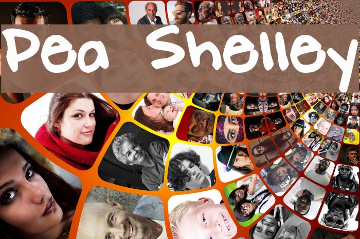 Pea Shelley Font examples