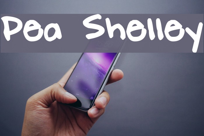 Pea Shelley Font examples