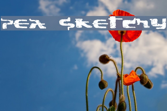 Pea Sketchy Example 2