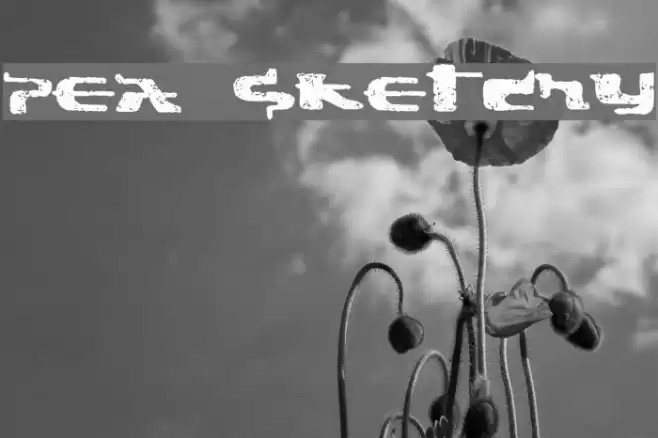 Pea Sketchy Font examples