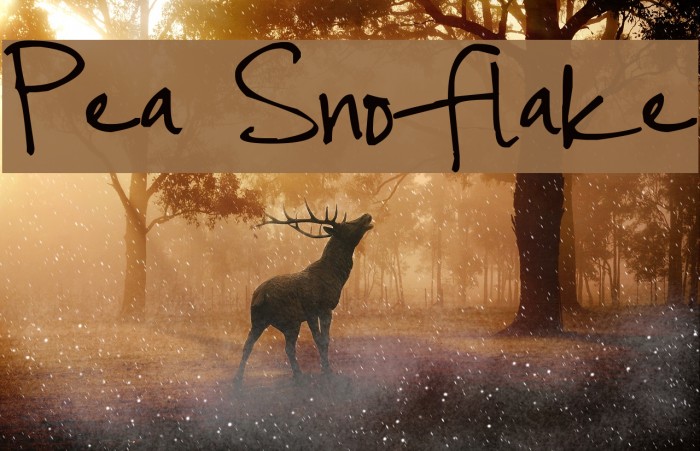 Pea Snoflake Font examples