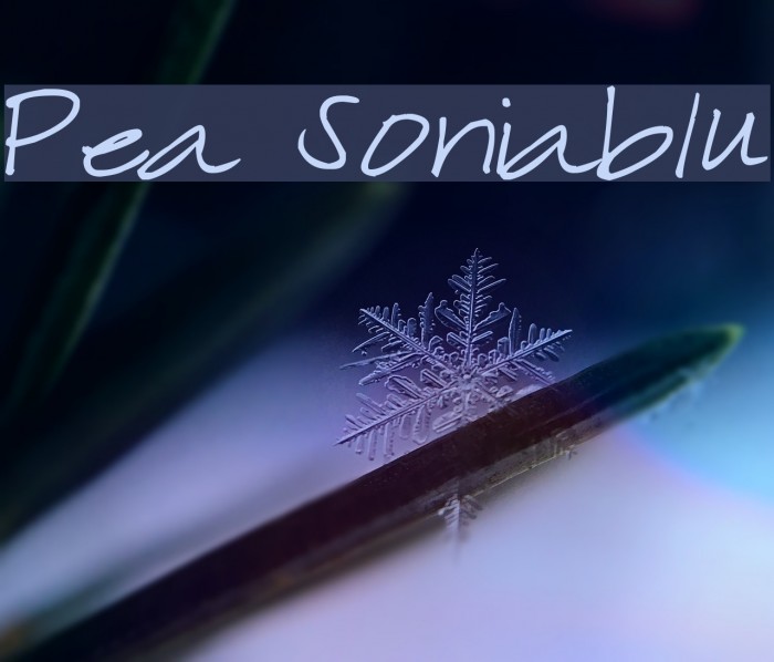 Pea Soniablu Font examples