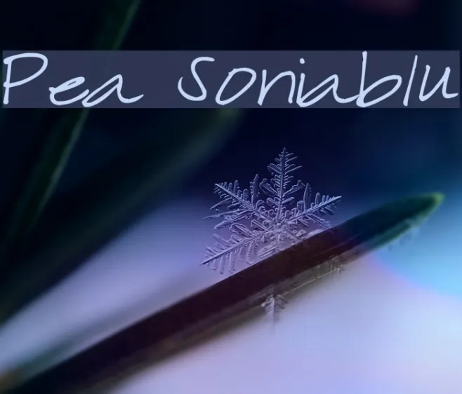 Pea Soniablu Example 2