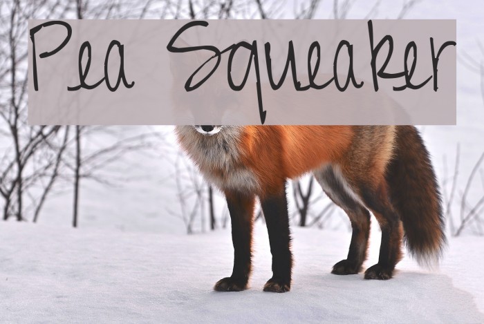 Pea Squeaker Font examples