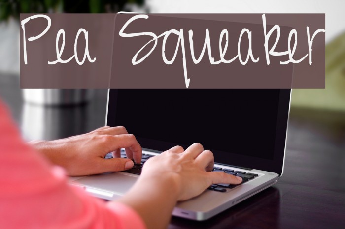 Pea Squeaker Font examples