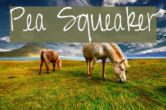 Pea Squeaker Font examples