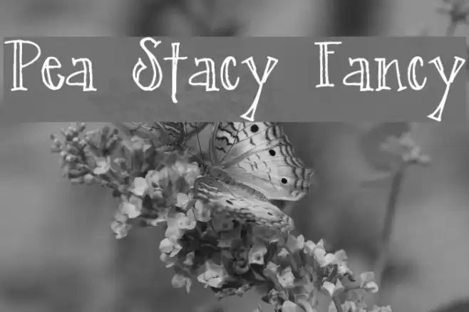 Pea Stacy Fancy Font examples