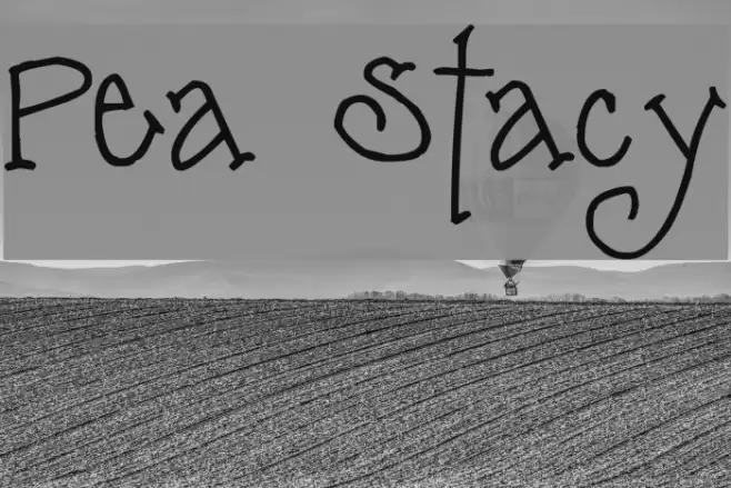 Pea Stacy Font examples