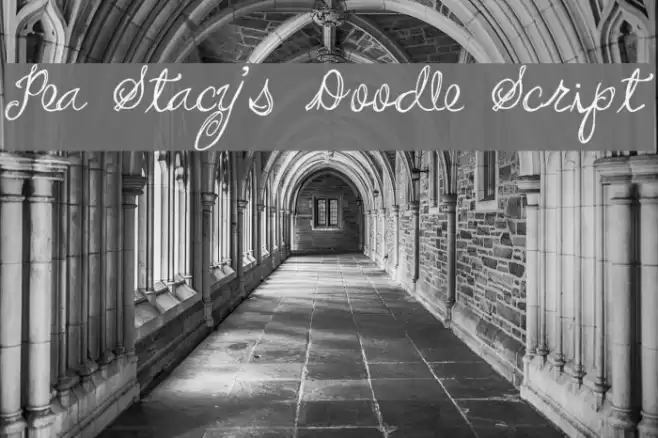 Pea Stacy's Doodle Script Font examples