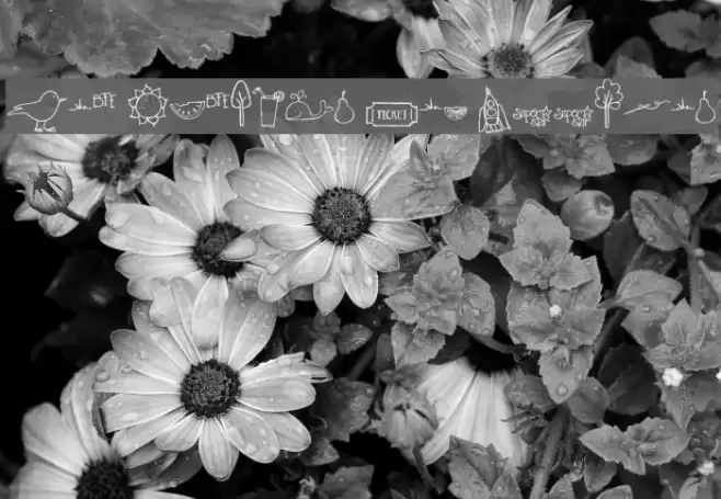 Pea Stacy's New Doodles フォント examples