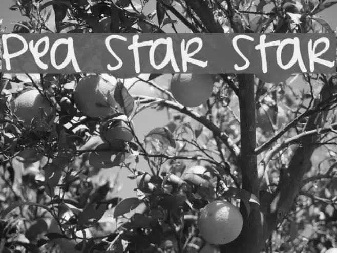 Pea Star Star Font examples
