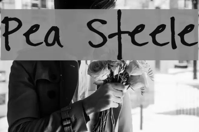 Pea Steele Font examples