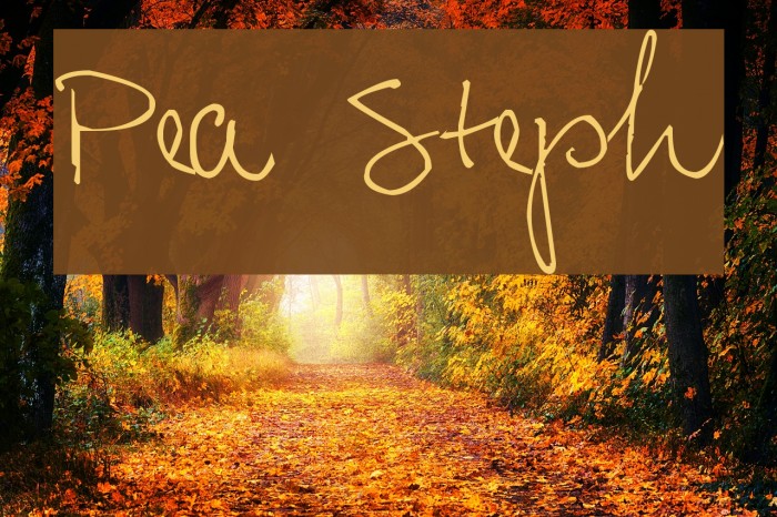 Pea Steph Font examples