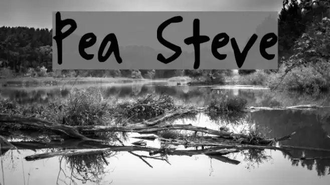 Pea Steve Font examples