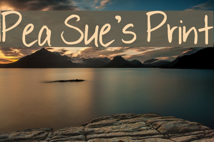 Pea Sue's Print Font examples