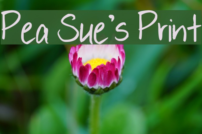 Pea Sue's Print Font examples