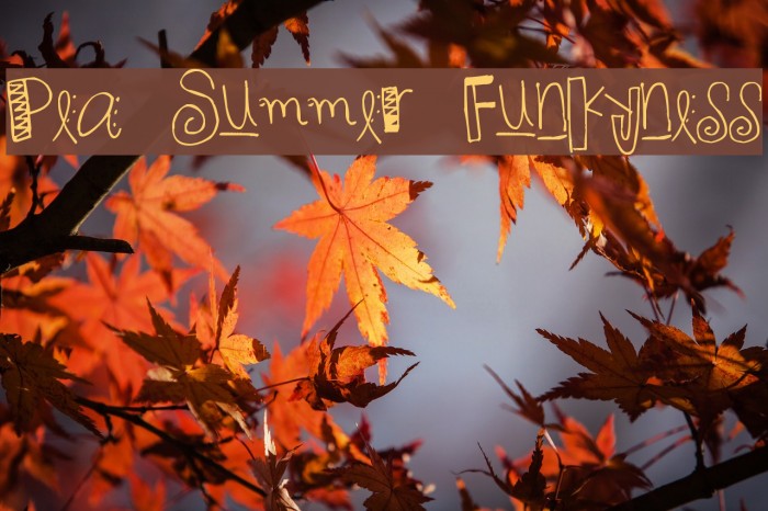 Pea Summer Funkyness Font examples