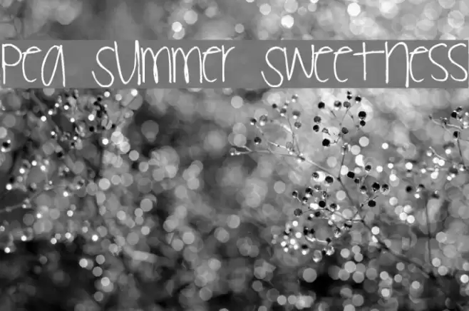 Pea Summer Sweetness Font examples