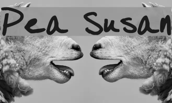 Pea Susan Font examples