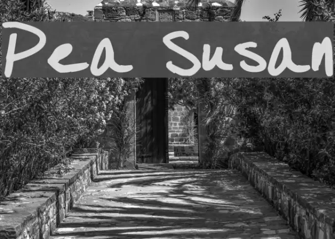 Pea Susan Font examples