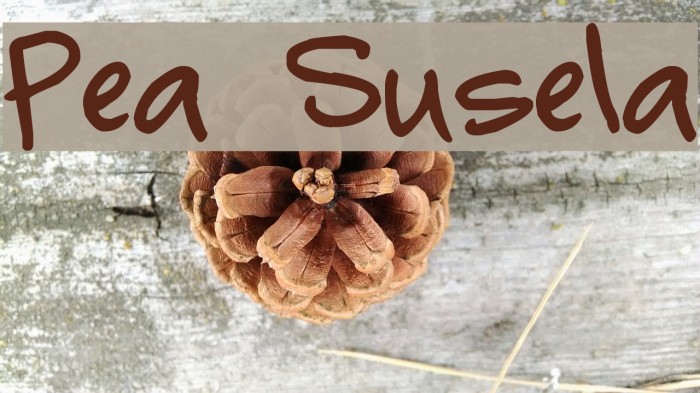 Pea Susela Font examples