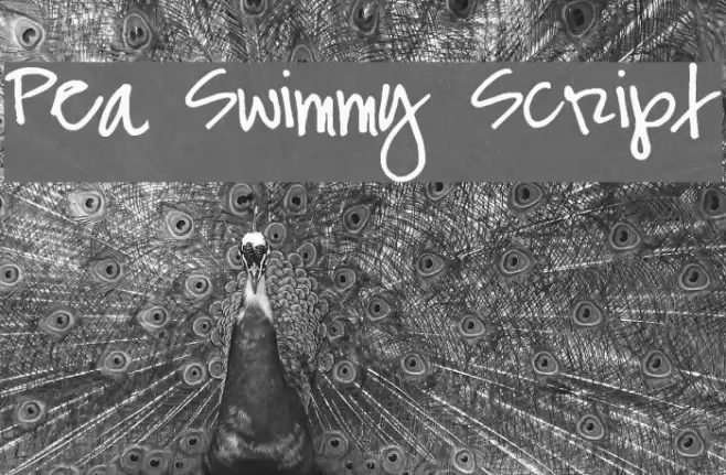 Pea Swimmy Script Font examples