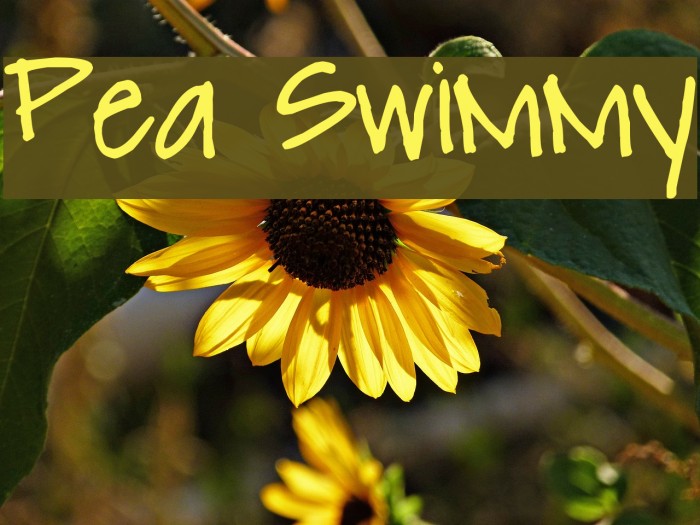 Pea Swimmy Font examples