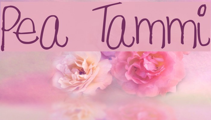 Pea Tammi Font examples