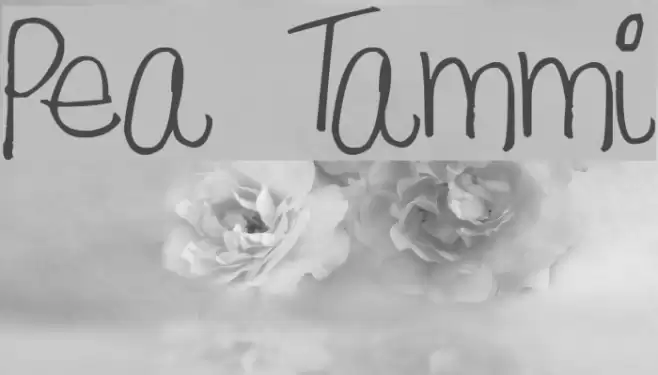 Pea Tammi Font examples