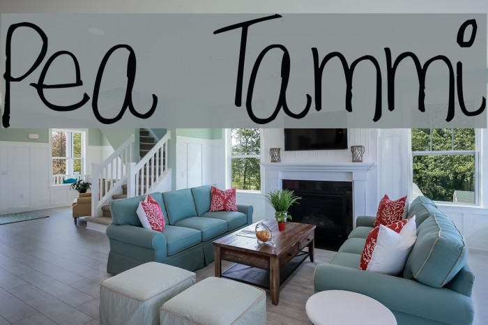 Pea Tammi Font examples
