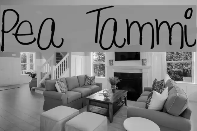 Pea Tammi Font examples
