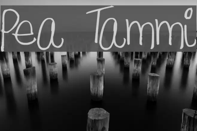 Pea Tammi Font examples