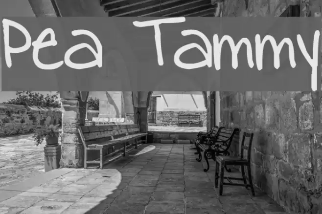 Pea Tammy Font examples