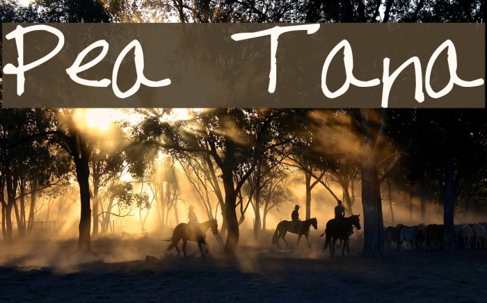 Pea Tana Font examples