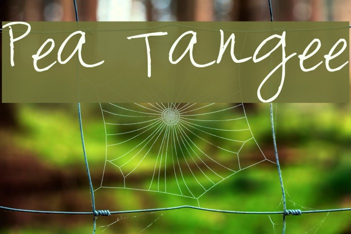 Pea Tangee Font examples