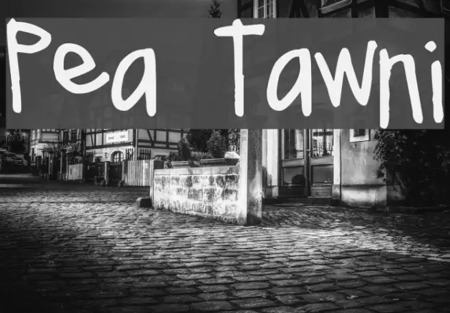 Pea Tawni Font examples