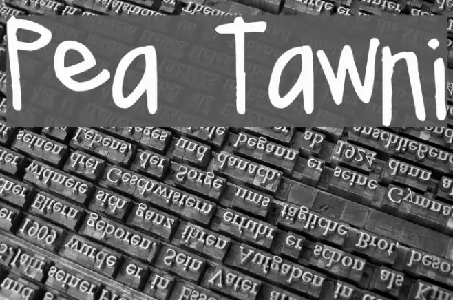 Pea Tawni Font examples