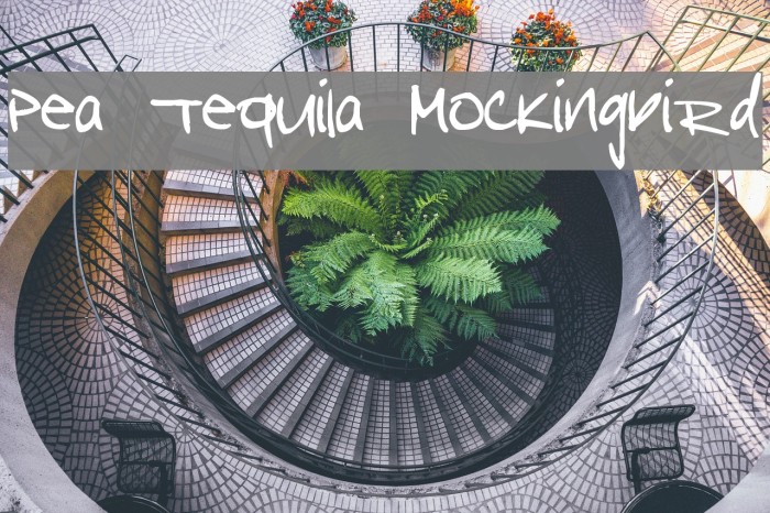 Pea Tequila Mockingbird Font examples