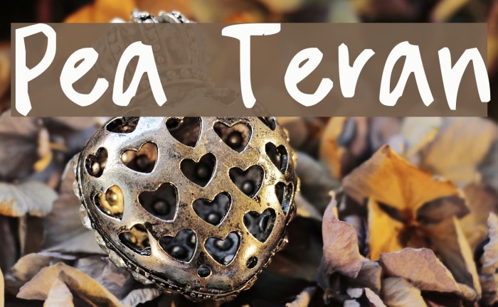 Pea Teran フォント examples