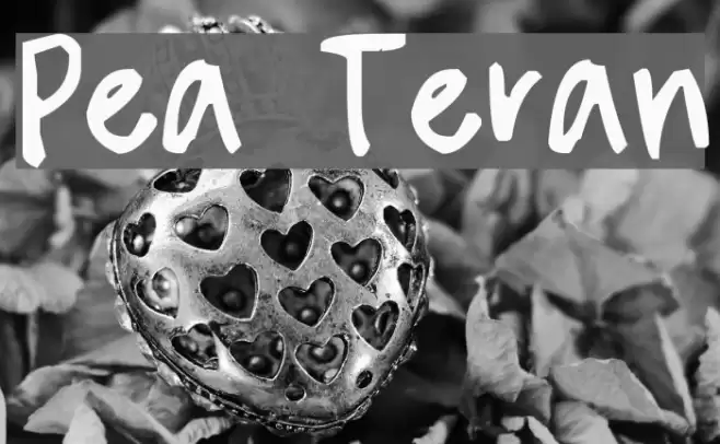 Pea Teran フォント examples
