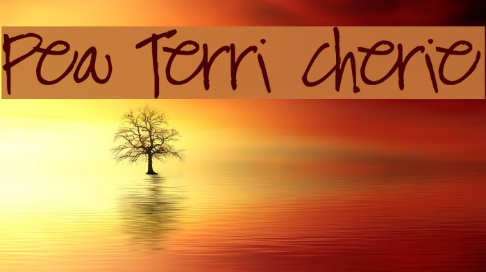 Pea Terri Cherie Font examples