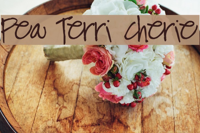Pea Terri Cherie Font examples