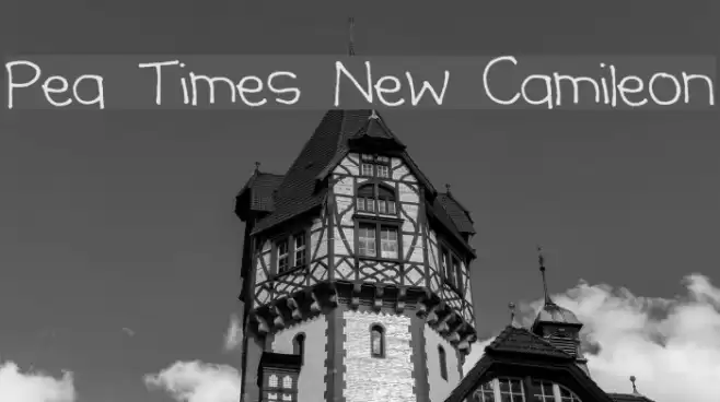 Pea Times New Camileon Font examples
