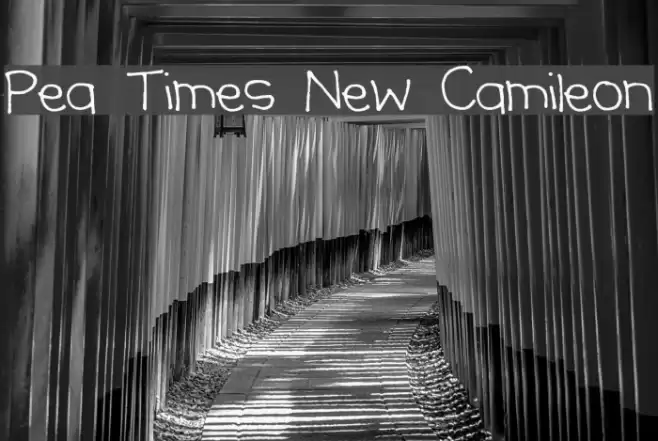 Pea Times New Camileon Font examples