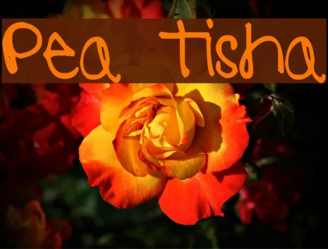 Pea Tisha Example 2