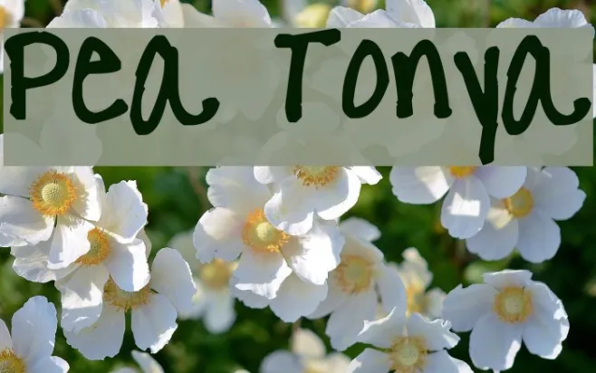 Pea Tonya Example 2