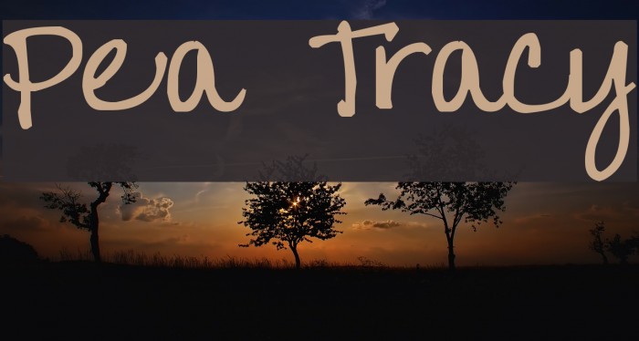 Pea Tracy Font examples