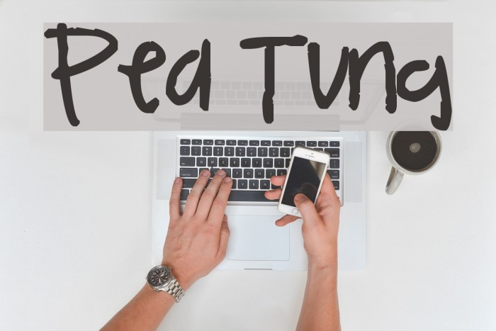 Pea Tung Font examples
